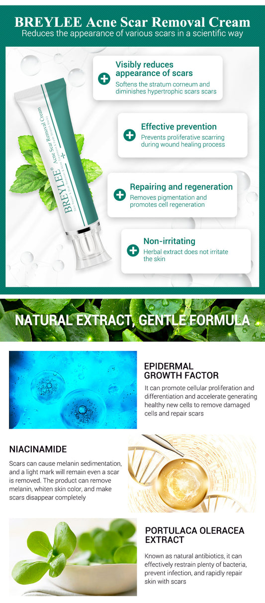 Skin Repair Face Cream Infused with Oleracea, Lavender, and Centella Asiatica Extracts - Blessed Corner