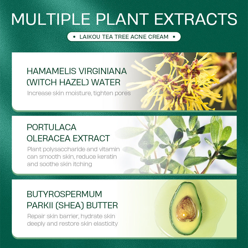 Tea Tree Anti Acne Face Cream - Blessed Corner