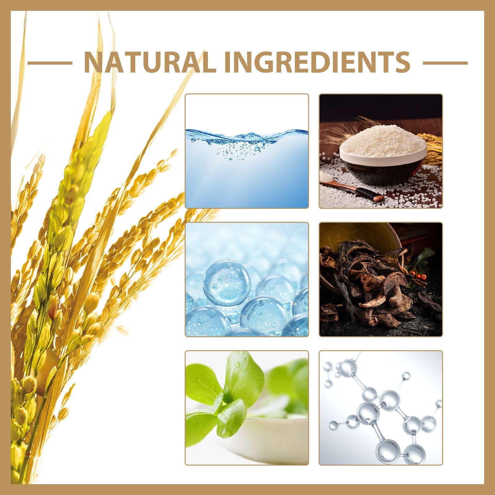 Rice Water Toner for Deep Hydration, Repair Skin, Firming & Softening Facial Toner - Blessed Corner