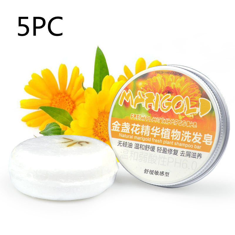 Herbal Extract Essential Oil Shampoo - Blessed Corner