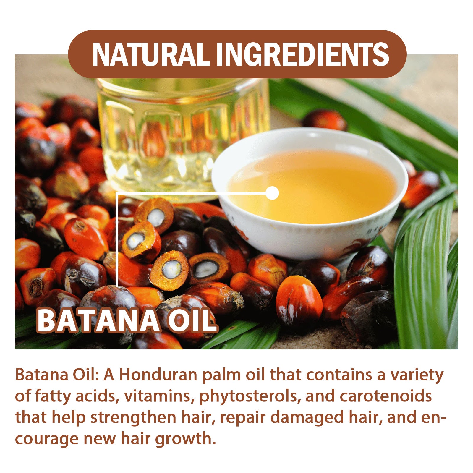 Natural Batana Oil, From Honduras, Unrefined For Men & Women - Blessed Corner