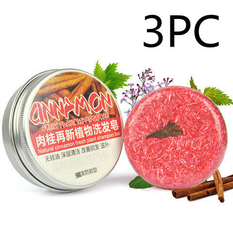 Herbal Extract Essential Oil Shampoo - Blessed Corner