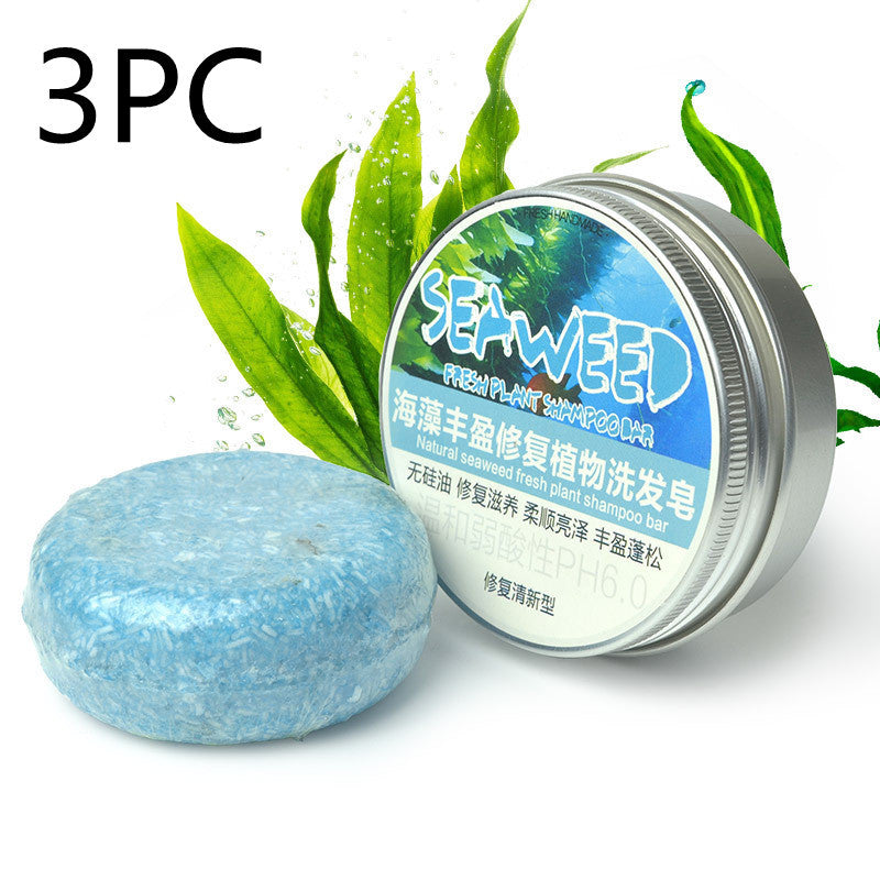 Herbal Extract Essential Oil Shampoo - Blessed Corner