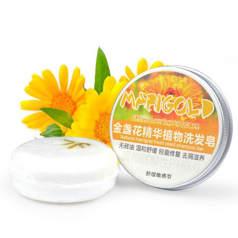 Herbal Extract Essential Oil Shampoo - Blessed Corner