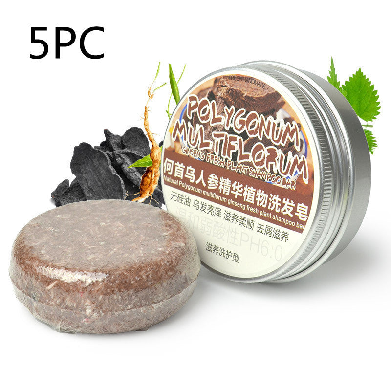 Herbal Extract Essential Oil Shampoo - Blessed Corner