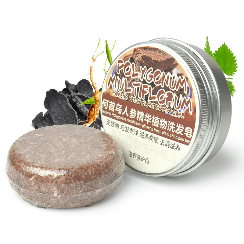 Herbal Extract Essential Oil Shampoo - Blessed Corner