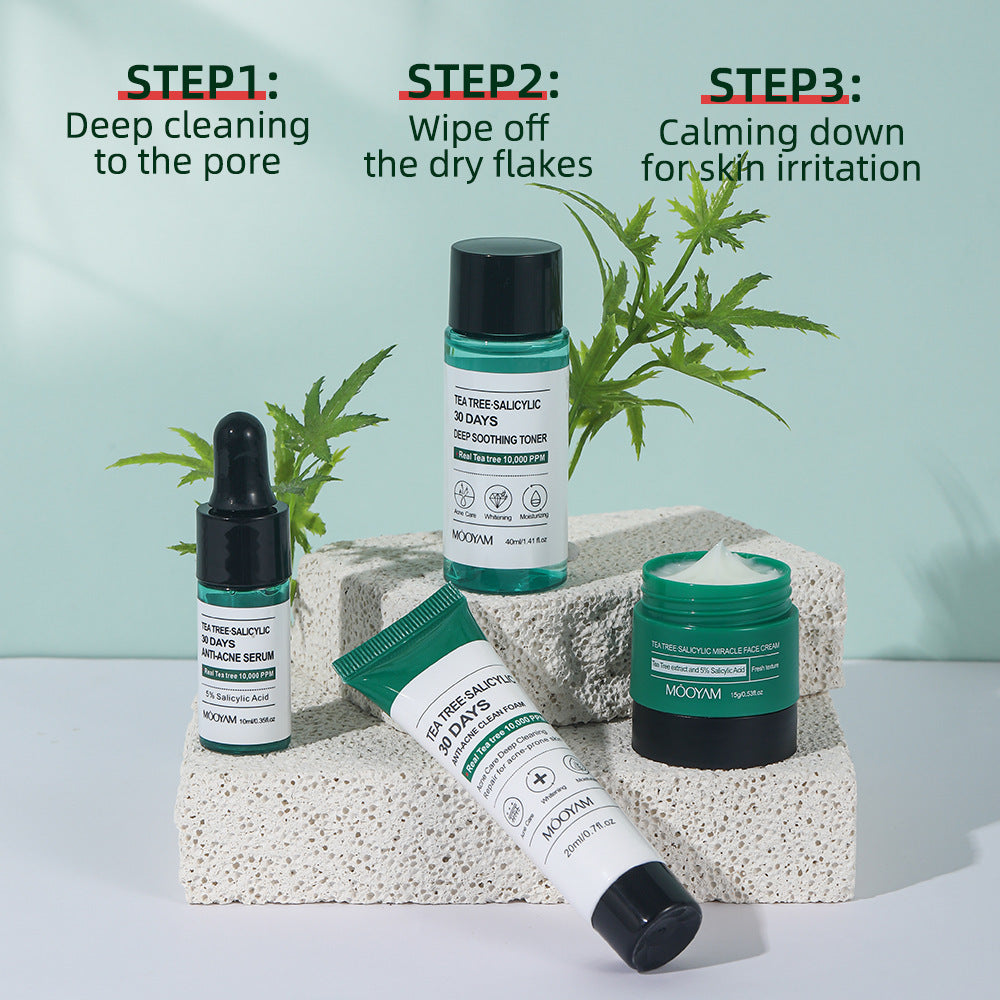 30-Day Tea Tree & Salicylic Anti-Acne Set - Blessed Corner
