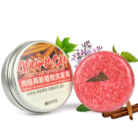 Herbal Extract Essential Oil Shampoo - Blessed Corner